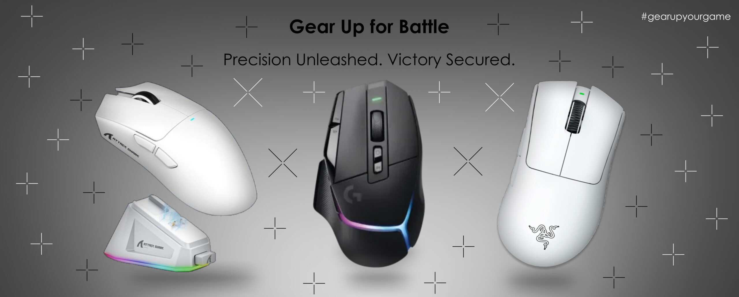 Mouse Banner Website